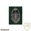 French Foreign Legion 5th Infantry Regiment pocket badge, type 1-1