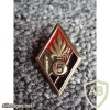 French Foreign Legion 4th Infantry Regiment 5th Battalion pocket badge