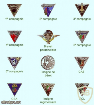 French Foreign Legion 2nd Parachute Regiment pocket badge img44807