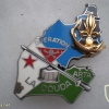 French Foreign Legion 6th Engineer Regiment 1st Company pocket badge, Operation LA DOUDA 1989 img44862