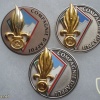 French Foreign Legion 2nd Engineer Regiment Support Company pocket badge img44876