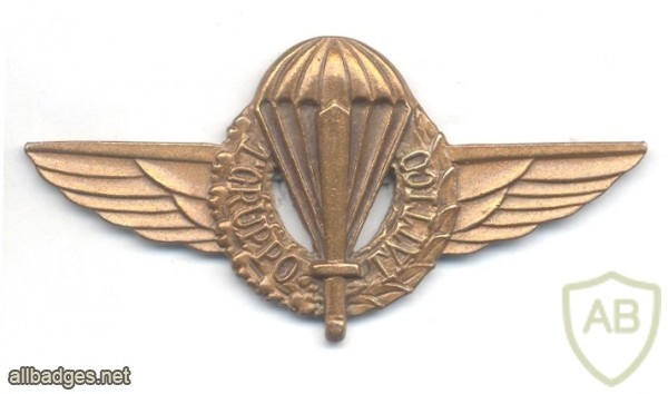 ITALY 1st Airborne Tactical Group breast badge img44885