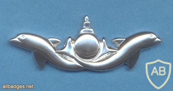 SOUTH KOREA Navy Submarine Non-commissioned Officers qualification badge img44903