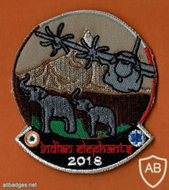 INDIAN ELEPHANT 2018 img44927
