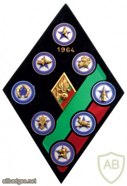 French Foreign Legion 4th Infantry Regiment Company badges img44956