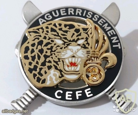 French Foreign Legion The equatorial jungle training center pocket badge, type 2 img44954
