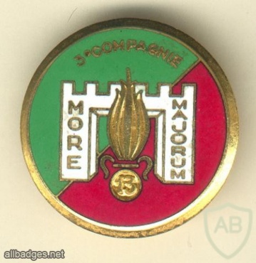 French Foreign Legion 13th Demi Brigade 3rd Company pocket badge, type 2 img44949
