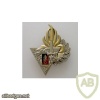 French Foreign Legion 2nd Parachute Regiment Commando badge, fantasy img44958