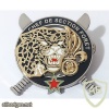 French Foreign Legion The equatorial jungle training center chief pocket badge