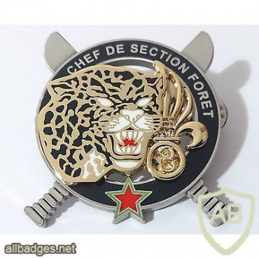 French Foreign Legion The equatorial jungle training center chief pocket badge img44953