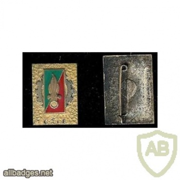 French Foreign Legion 3rd Repair Company pocket badge img45018