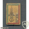 French Foreign Legion 3rd Battalion RMLE pocket badge img45017