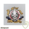 French Foreign Legion 2nd Reparation Company pocket badge img45013