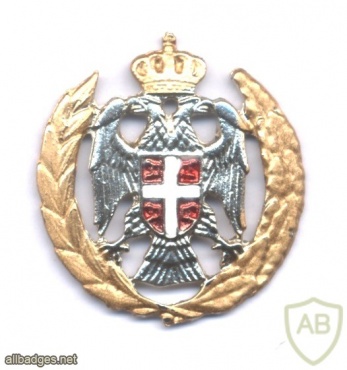REPUBLIC OF SERBIAN KRAJINA Army Officers cap badge, early 1990s img45042