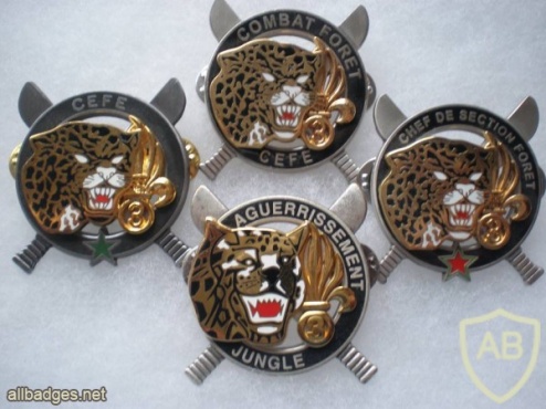 French Foreign Legion The equatorial jungle training center chief pocket badge img45034