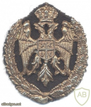 REPUBLIC OF SERBIAN KRAJINA Army cap badge, early 1990s img45043