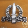 הצעה לסמל כובע של הכוחות המיוחדים img45064