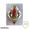 French Foreign Legion 26th Engineer Battalion pocket badge img45084