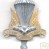 CANADA Canadian Airborne Regiment cap badge