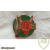 French Foreign Legion 13th Demi Brigade 4th Company pocket badge, type 2 img45354