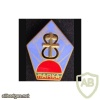 French Foreign Legion 13th Demi Brigade Harka 8 unit pocket badge