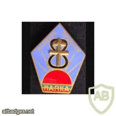French Foreign Legion 13th Demi Brigade Harka 8 unit pocket badge img45359