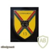 French Foreign Legion 13th Demi Brigade Commando pocket badge img45367