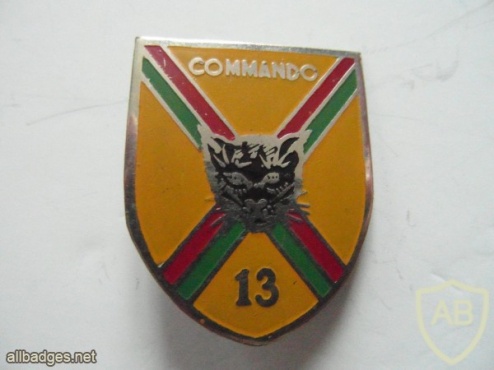 French Foreign Legion 13th Demi Brigade Commando pocket badge img45384