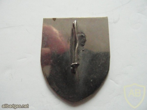 French Foreign Legion 13th Demi Brigade Commando pocket badge img45383