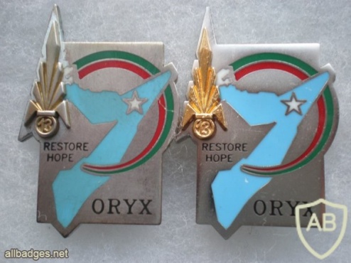 French Foreign Legion 13th Demi Brigade pocket badge, operation Oryx img45401