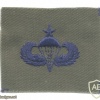 US Air Force Senior parachutist qualification wings, cloth, subdued, on olive green