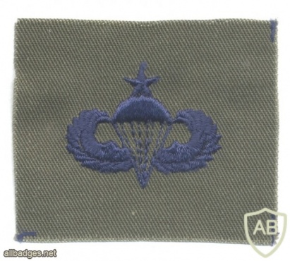 US Air Force Senior parachutist qualification wings, cloth, subdued, on olive green img45434