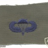 US Air Force Basic parachutist qualification wings, cloth, subdued, on olive green