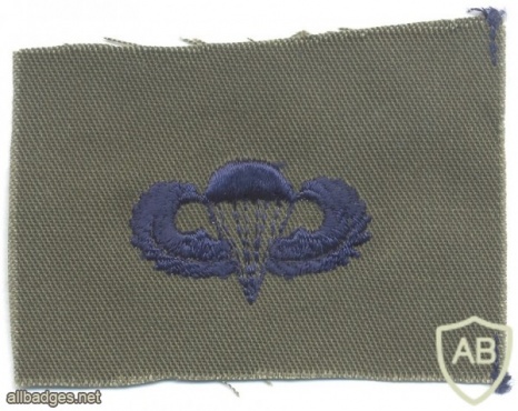 US Air Force Basic parachutist qualification wings, cloth, subdued, on olive green img45433