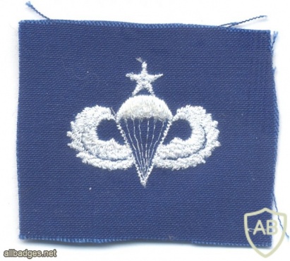 US Air Force Senior parachutist qualification wings, cloth, on blue img45430