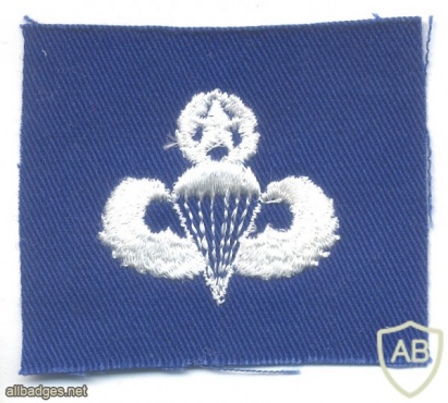 US Air Force Master parachutist qualification wings, cloth, on blue img45431
