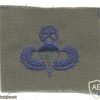 US Air Force Master parachutist qualification wings, cloth, subdued, on olive green img45435