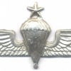 GREECE Army Senior Parachute wings, pinback