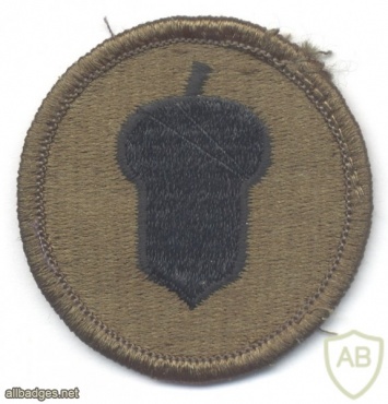 US Army 87th Infantry Division sleeve patch, subdued img45460