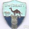 UNITED NATIONS Emergency Force (UNEF) Swedish Battalion SWEDBATT pocket badge