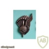 Portuguese Paratroopers Free Fall Master metal badge
