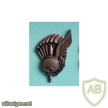 Portuguese Paratroopers Free Fall Master metal badge img45616