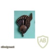 Portuguese Paratroopers HALO/HAHO jump metal badge