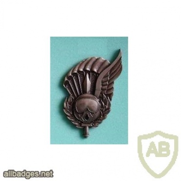 Portuguese Paratroopers Free Fall Instructor metal badge img45617