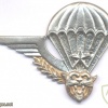 ZAIRE Army Brevet B Officer Parachute qualification wing