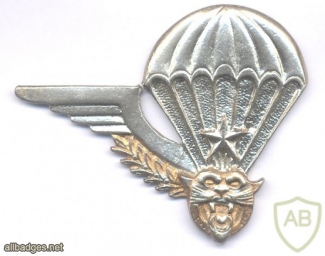 ZAIRE Army Brevet B Officer Parachute qualification wing img45763