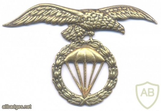 SPAIN Paratrooper Brigade (BRIPAC) beret badge, 1986 img45774