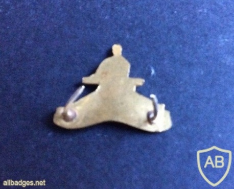 Irish Army Artillery collar badge img45829