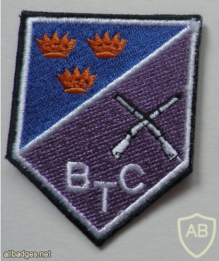 Irland Army 1st Brigade Training Center patch img45847