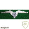 Air Youth Battalions - soaring img45873